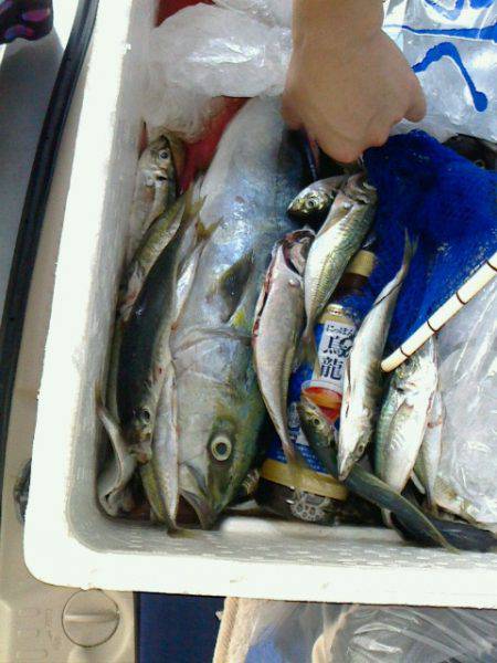 おぉ？違う魚？